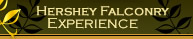 Hershey Falconry Experience